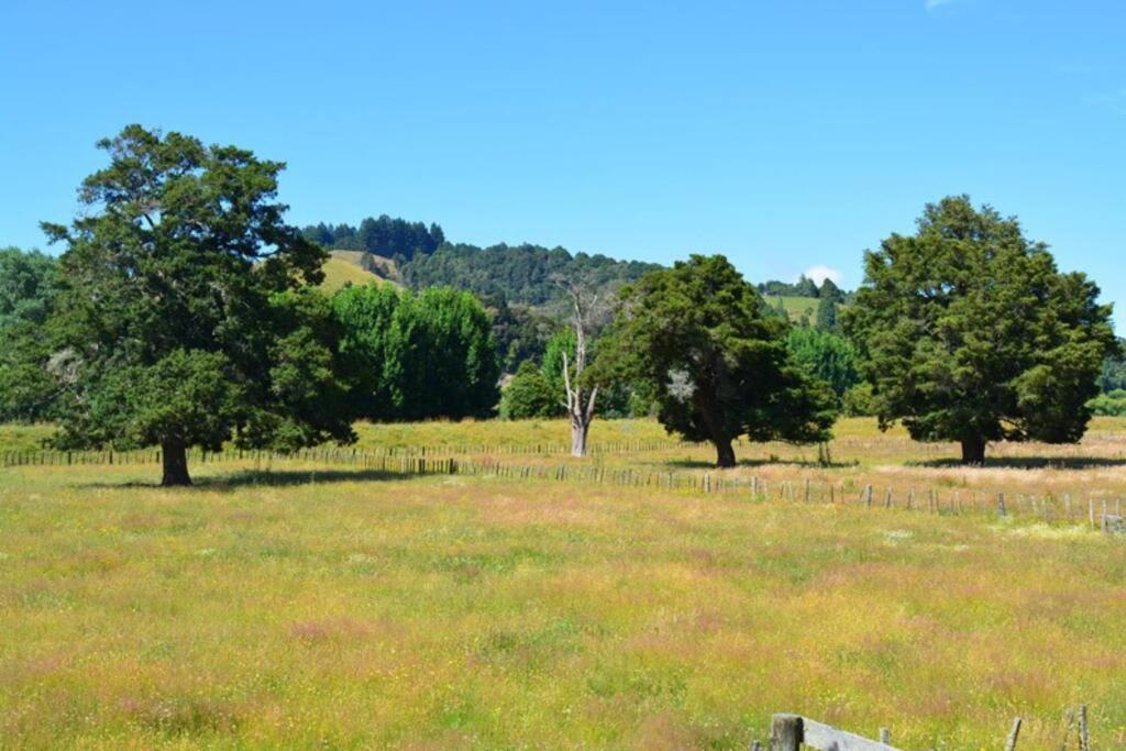 Riverlea Cottage - Cosy, Comfy, Quiet, Central Taumarunui Bagian luar foto