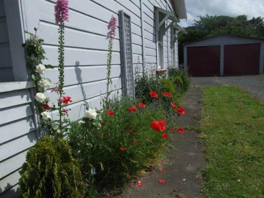 Riverlea Cottage - Cosy, Comfy, Quiet, Central Taumarunui Bagian luar foto